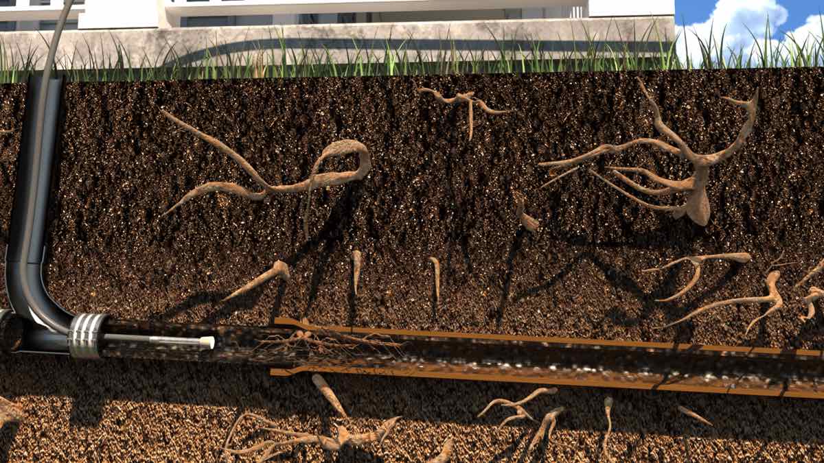 Cutaway illustration of a sewer camera inside a buried lateral, showing tree roots that have grown through the pipe joints, the first step in a trenchless sewer repair