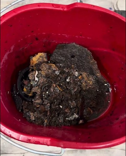 An old sump pump pulled from a Northern Virginia basement pit, caked in sludge, sitting in a red bucket