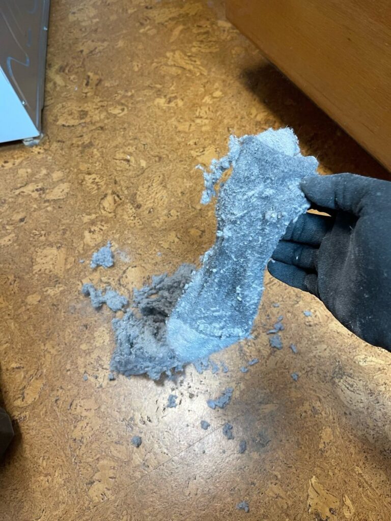 A SwiftPro technician's gloved hand holding a plug of grey lint pulled out of a dryer vent, shaped like the pipe it filled, on a dryer vent cleaning in Northern Virginia